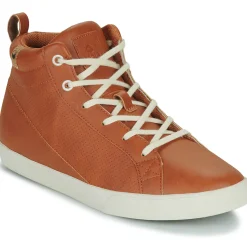 Saola - WANAKA Marron Online