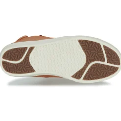 Saola - WANAKA Marron Online