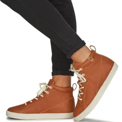 Saola - WANAKA Marron Online