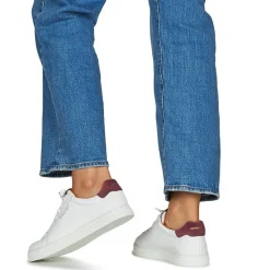 Schmoove - SPARK CLAY Hot