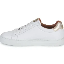 Schmoove - SPARK CLAY