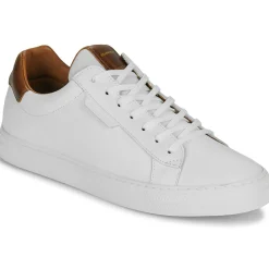 Schmoove - SPARK CLAY M