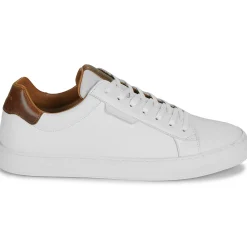 Schmoove - SPARK CLAY M