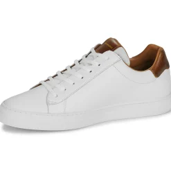 Schmoove - SPARK CLAY M