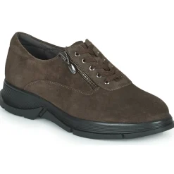 Sale Scholl - BRISTOL ZIP Marron