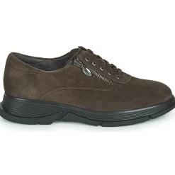 Sale Scholl - BRISTOL ZIP Marron
