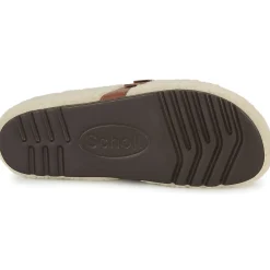 Scholl - CHARLOTTE New