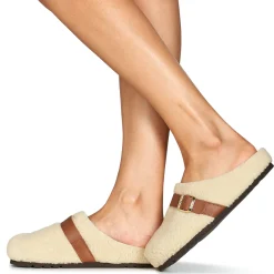 Scholl - CHARLOTTE New