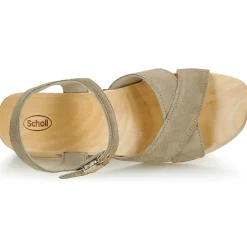 Outlet Scholl - PESCURA CATE Beige