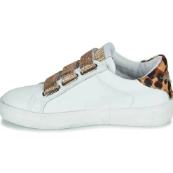 Semerdjian - GARBIS New