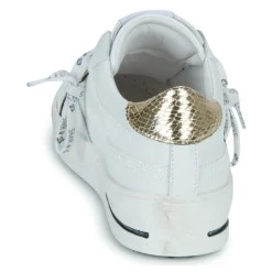 Clearance Semerdjian - VANA