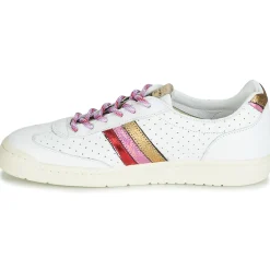 Serafini - COURT Multicolore Outlet