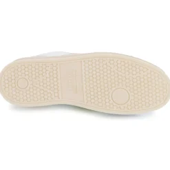 Serafini - COURT Online