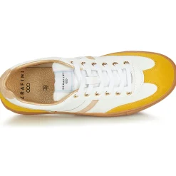 Best Serafini - COURT