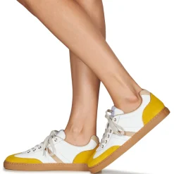 Best Serafini - COURT