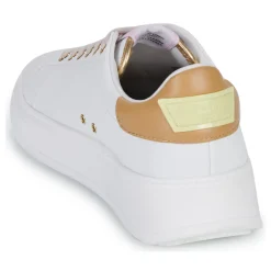 Serafini - J.CONNORS