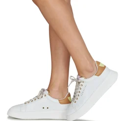 Serafini - J.CONNORS