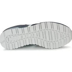 Serafini - LOS ANGELES Bleu