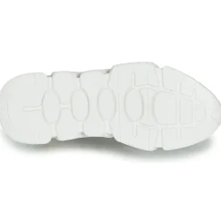 Serafini - OREGON Discount