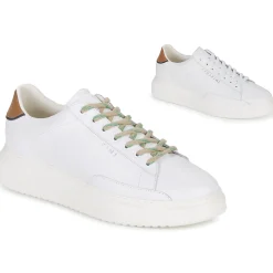 Clearance Serafini - ROGER 2