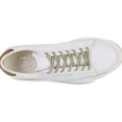 Clearance Serafini - ROGER 2