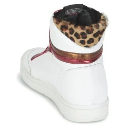 Online Serafini - SAN DIEGO