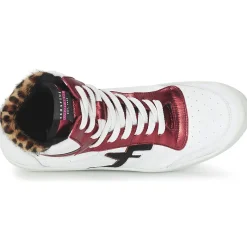 Online Serafini - SAN DIEGO