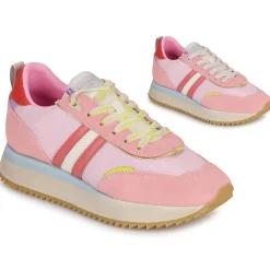 Serafini - TORINO Rose