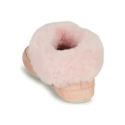 New Shepherd - PITEA Rose