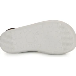 Shoo Pom - GOA BOY SCRATCH Marine