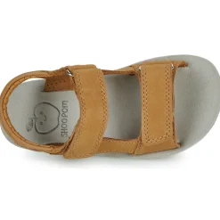 New Shoo Pom - GOA BOY SCRATCH CAMEL