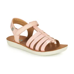 Shoo Pom - GOA SPART Rose Online