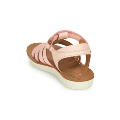 Shoo Pom - GOA SPART Rose Online