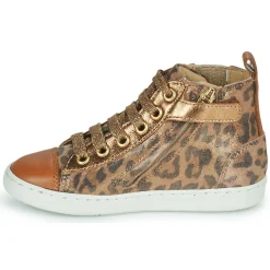 Sale Shoo Pom - PLAY NEW JODLACE