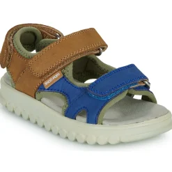 Hot Shoo Pom - ROLLY BOY SCRATCH