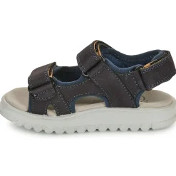 Shoo Pom - ROLLY BOY SCRATCH