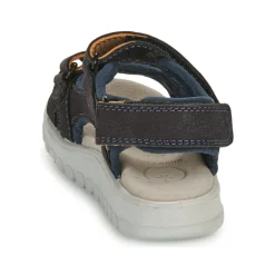 Shoo Pom - ROLLY BOY SCRATCH