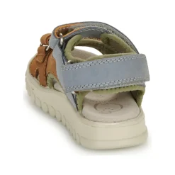 Shoo Pom - ROLLY BOY SCRATCH