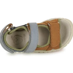 Shoo Pom - ROLLY BOY SCRATCH