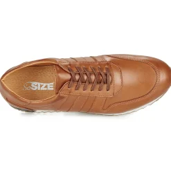 So Size - FELIX Camel Discount