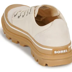 New Sorel - SCOUT N ABOUT LOW SNEAKER Beige