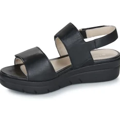 Sale Stonefly - AQUA III 12 Noir