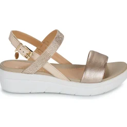 Stonefly - AQUA III 22