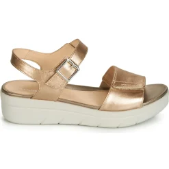 Stonefly - AQUA III 2 LAMINATED Doré Best