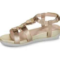 Clearance Stonefly - EVE 21 Doré