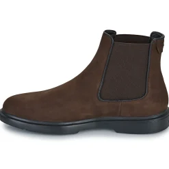 Stonefly - FOREVER 4 Marron Best