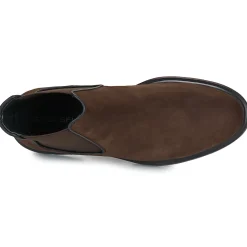 Stonefly - FOREVER 4 Marron Best