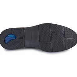 Stonefly - FOREVER 4 Marron Best