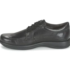 Hot Stonefly - SEASON 2 Noir