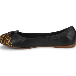 Stéphane Kelian - WALLY